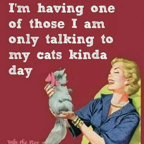 Hi, I'm Jennifer! Poshmark Ambassador ll - Picture 5 of 8